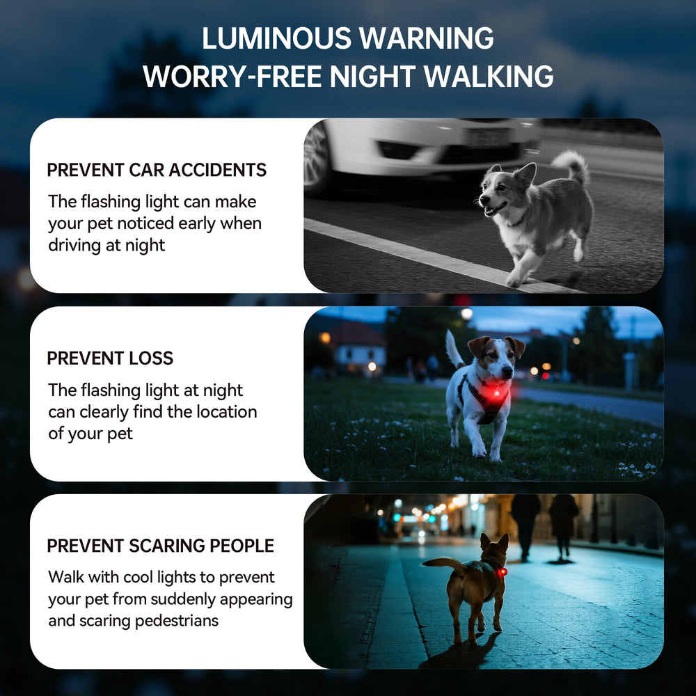 AutoEuropa LED collar light red mode supports low-disturbance signaling.
