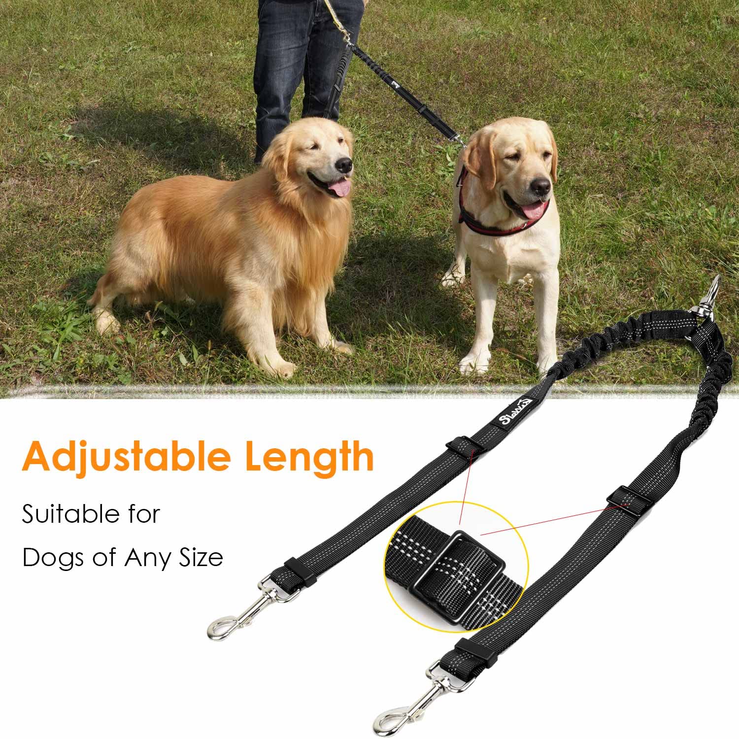 AUTOWT tangle-free swivel buckle design shown during two-dog walk.