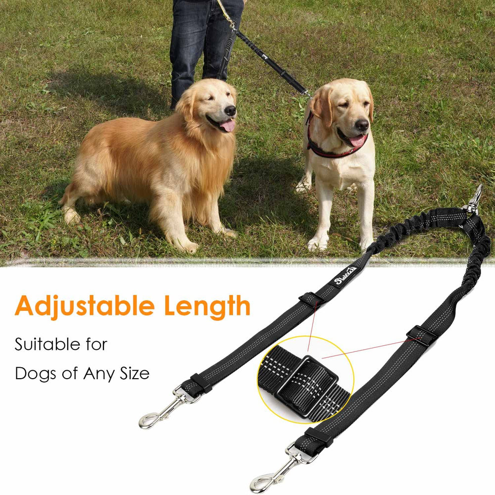 AUTOWT tangle-free swivel buckle design shown during two-dog walk.