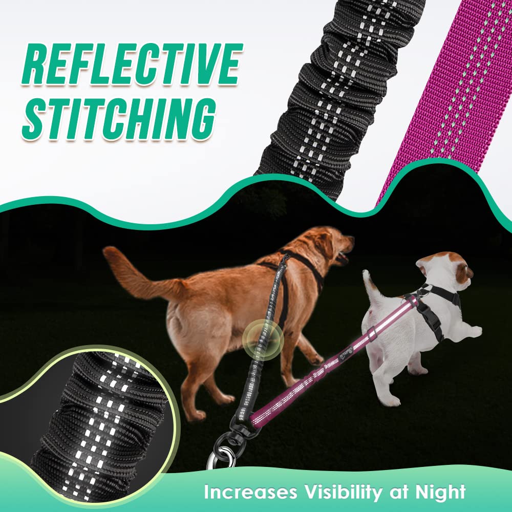 AUTOWT Two Dog Lead reflective stitching improving visibility at dusk