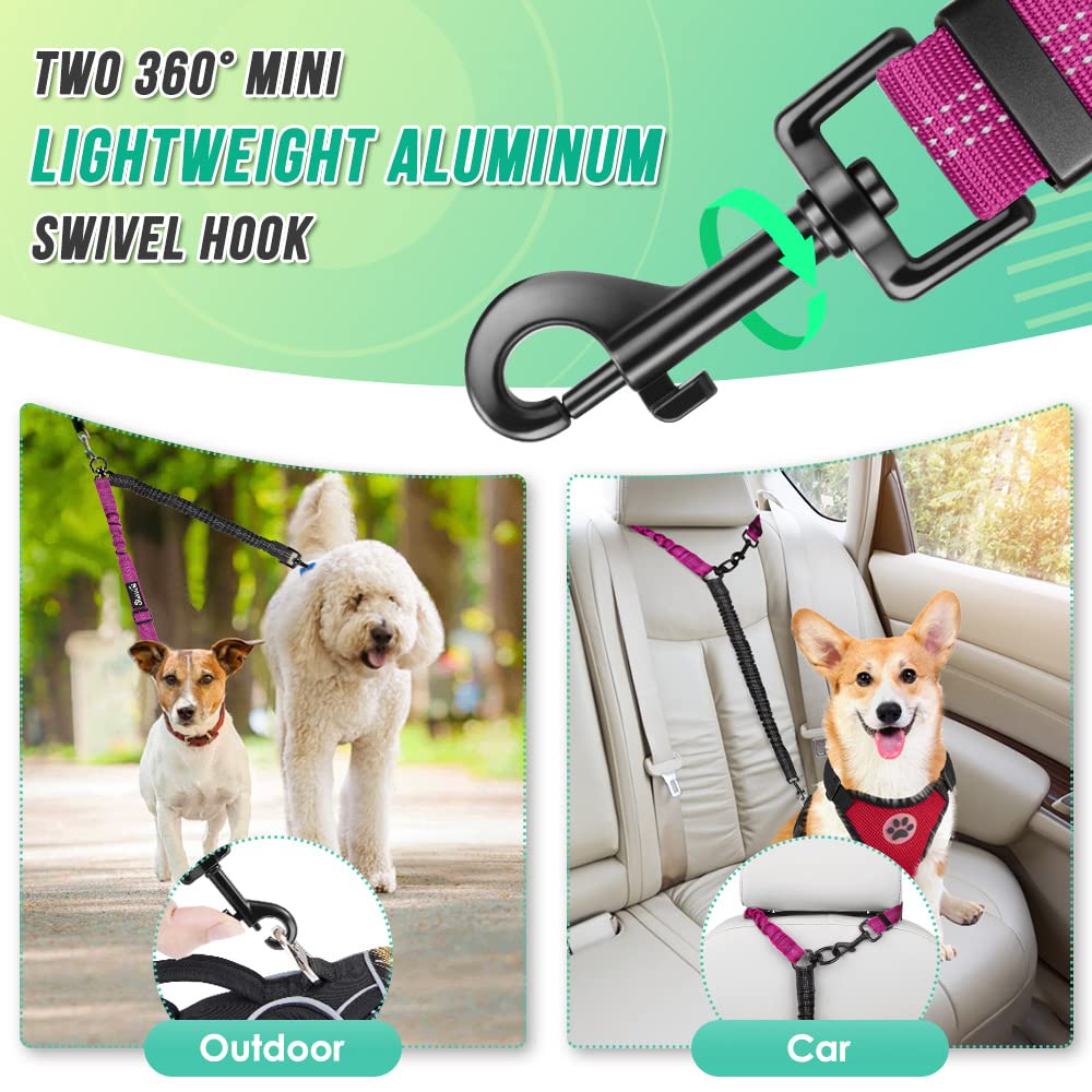 AUTOWT Two Dog Lead tangle-free design with two secure hooks on a walk