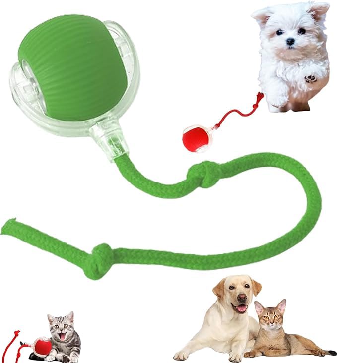 AUTRETY 2024 electric dog ball front view promotes interactive playtime.