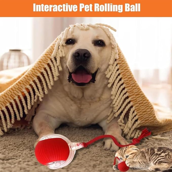AUTRETY fast-charging ball toy ready in 30 minutes for longer sessions