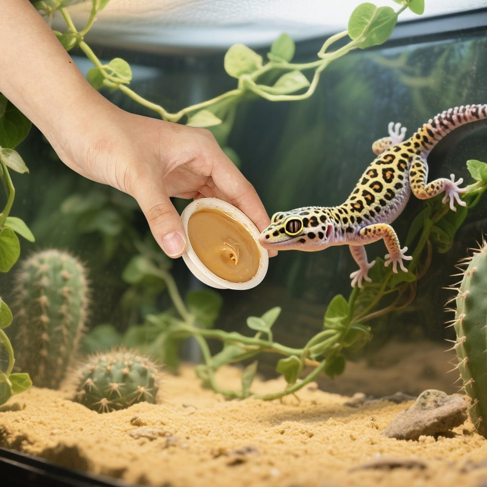 AUTSEEYS 1 oz gecko cups packaging shown for quick replacement