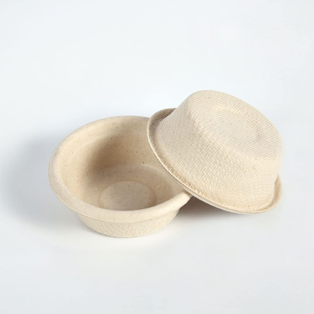 AUTSEEYS no-wash design supports a low-maintenance reptile routine.