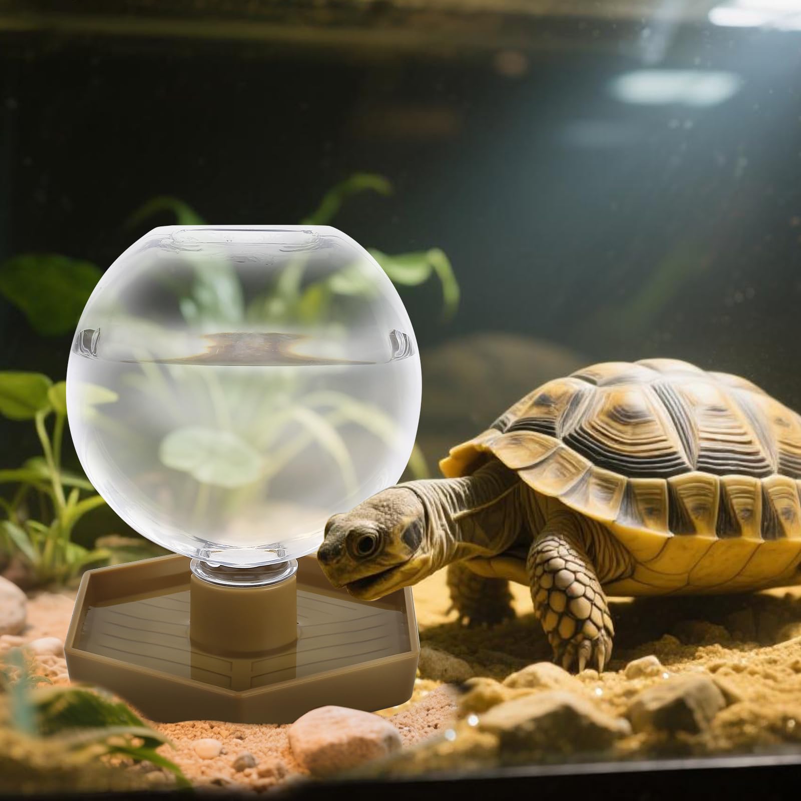 AUTSEEYS easy-clean water feeder simplifies terrarium maintenance.