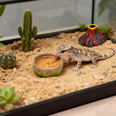 AUTSEEYS gecko volcano decor terrarium enhances natural look and habitat realism.