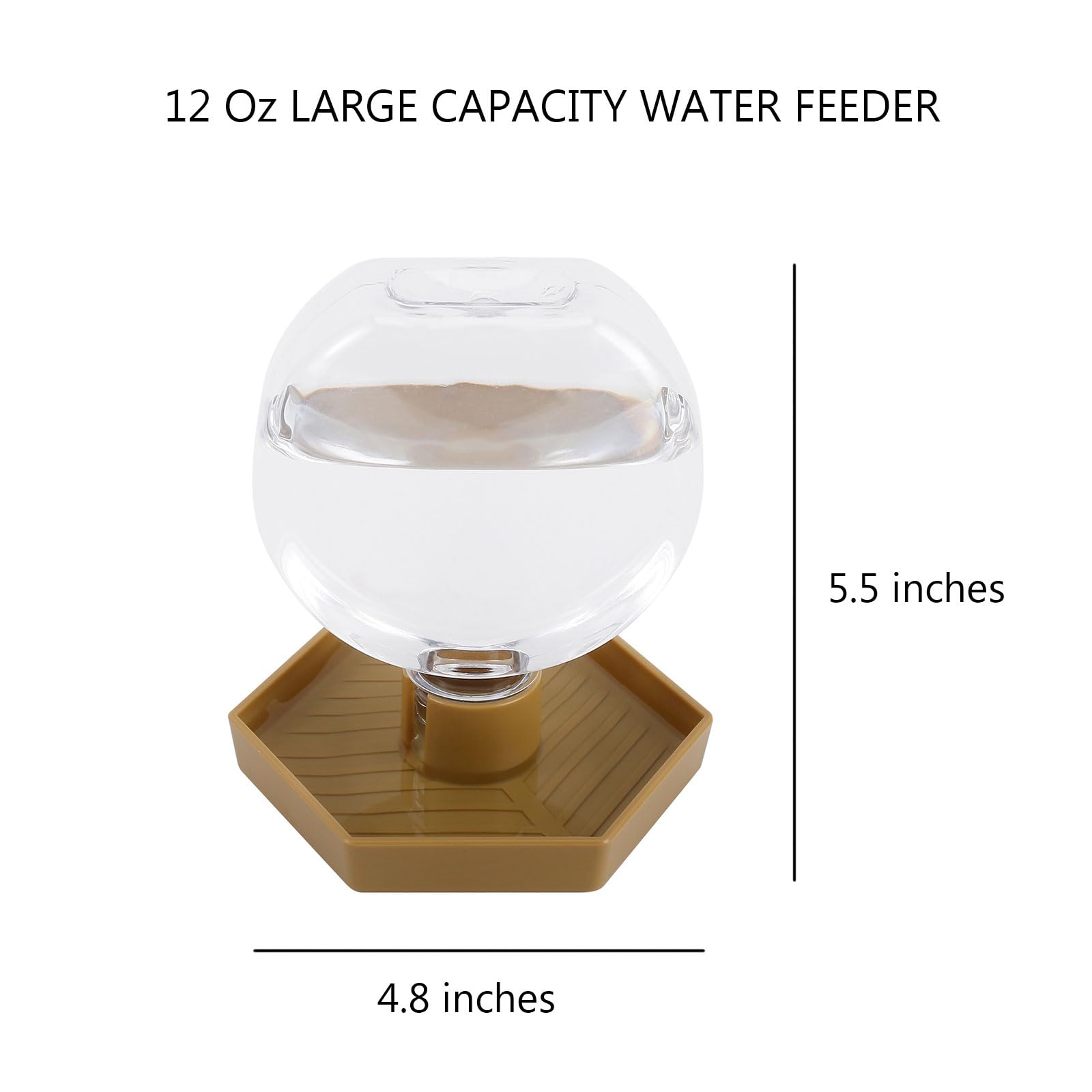 AUTSEEYS low-profile bowl resists tipping for calm terrariums.
