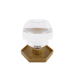 AUTSEEYS reptile water feeder 12oz round bowl keeps terrarium hydrated.