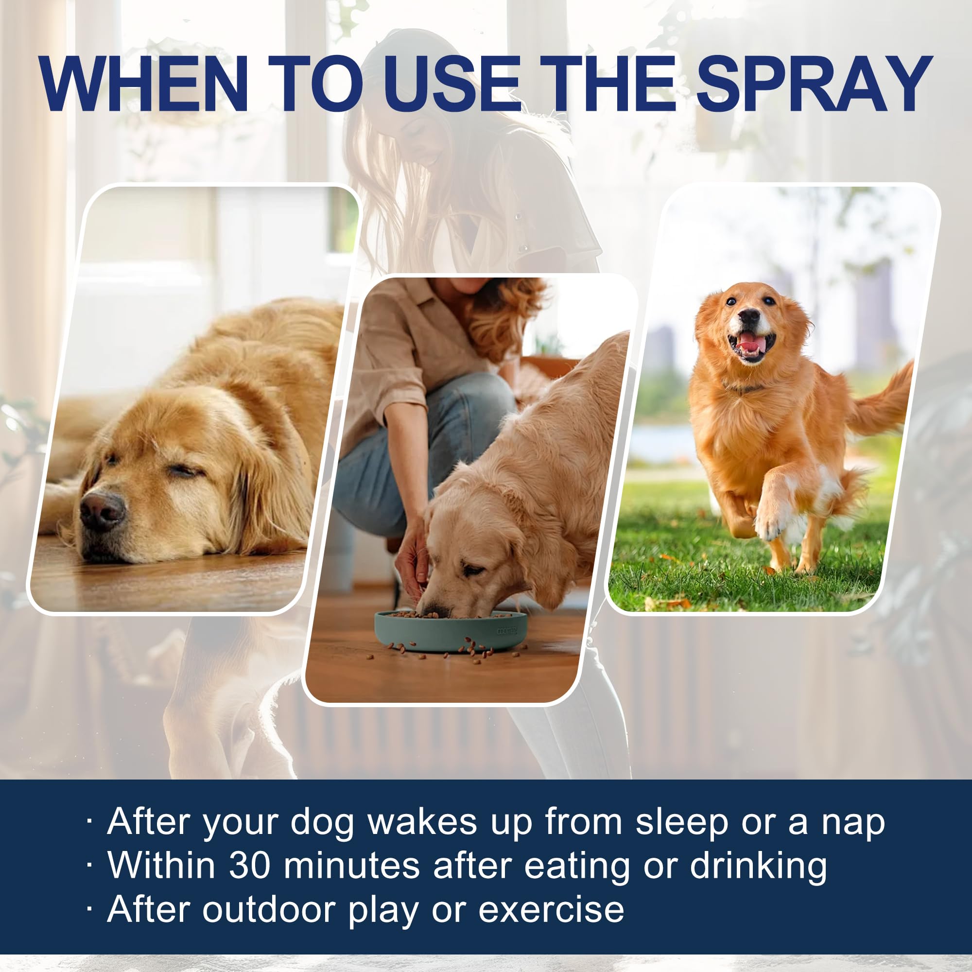 AutumnNest alcohol-free formula for gentle dog scent cues