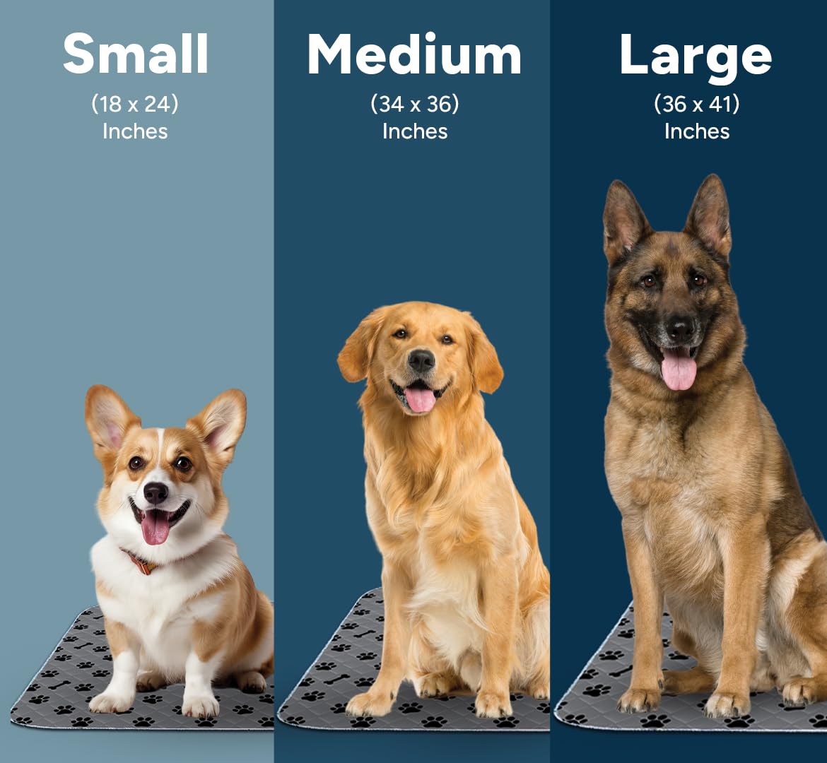 Avalon Care 2-pack pads stay in place with non-slip backing on smooth surfaces.