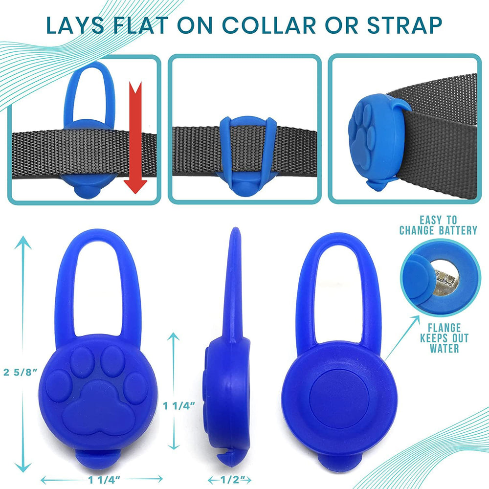 Avando dog collar light orange color enhances conspicuity outdoors