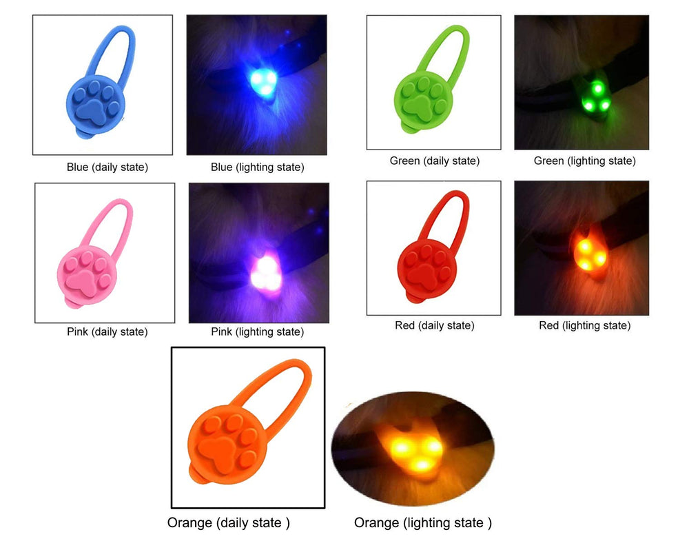 Avando dog collar light at night boosts visibility for drivers and pedestrians
