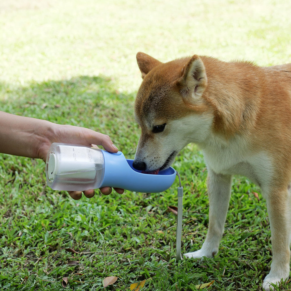 AVELORA bottle highlights waste bag compartment for convenient cleanup after adventures.