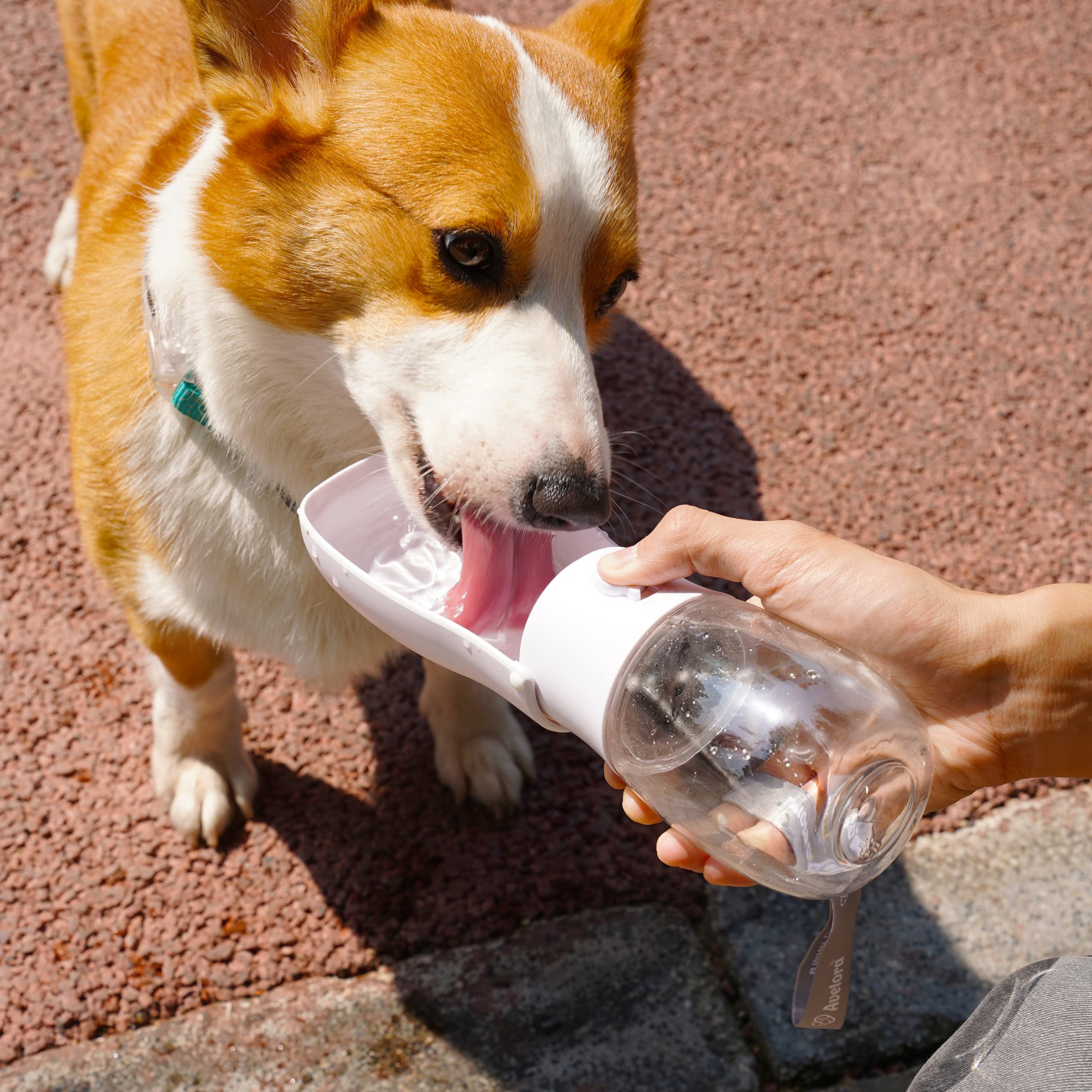 AVELORA foldable-dog-water-bottle-collapsible collapses flat for compact carry.