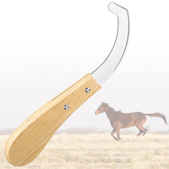 Avenuebool Bot Egg Knife with stainless blade for precise bot egg removal on horses