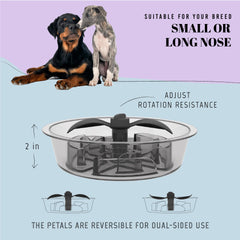 AVERYDAY non-slip bottom keeps meals stable during eating