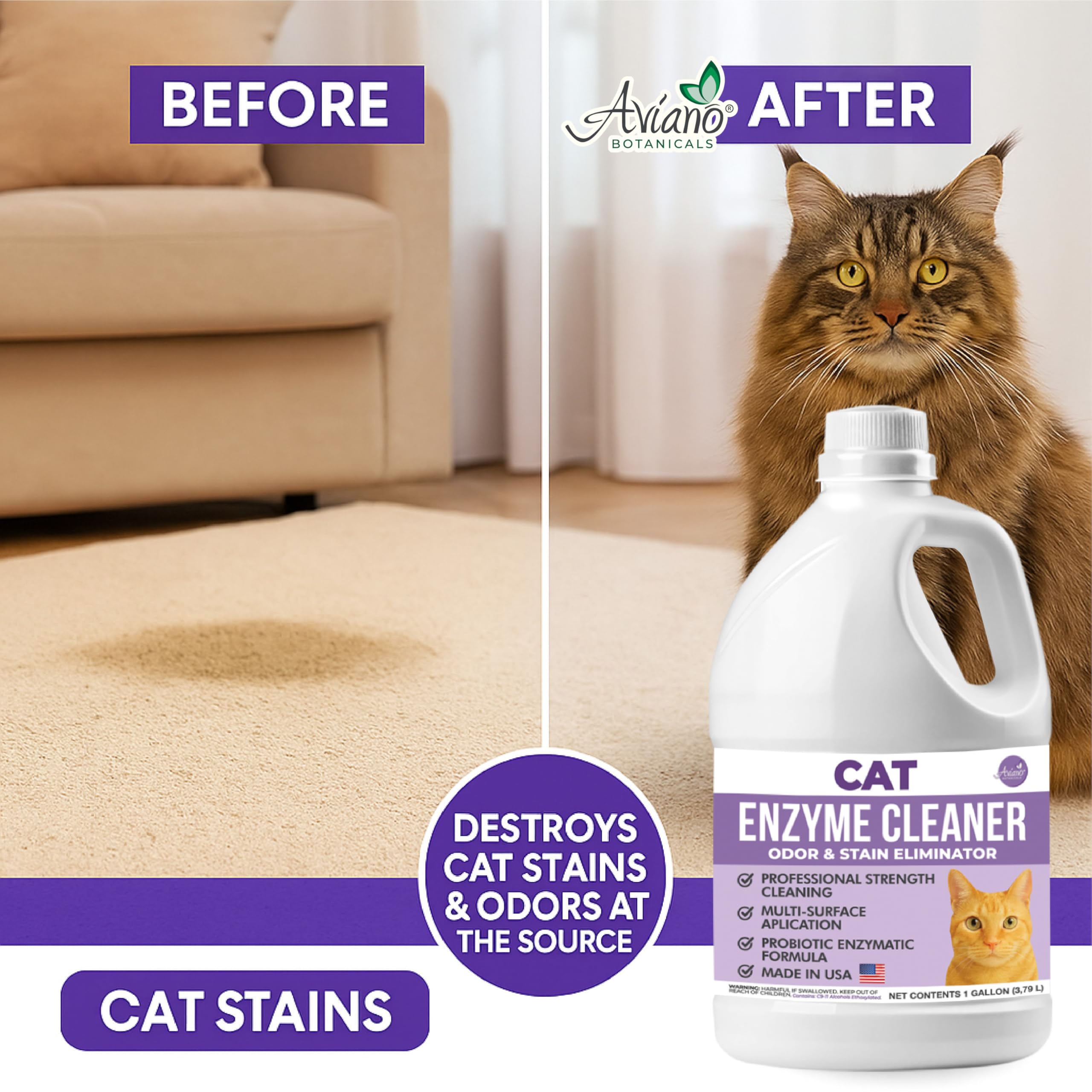 Aviano Cat Enzyme Cleaner spray on litter box area for odors