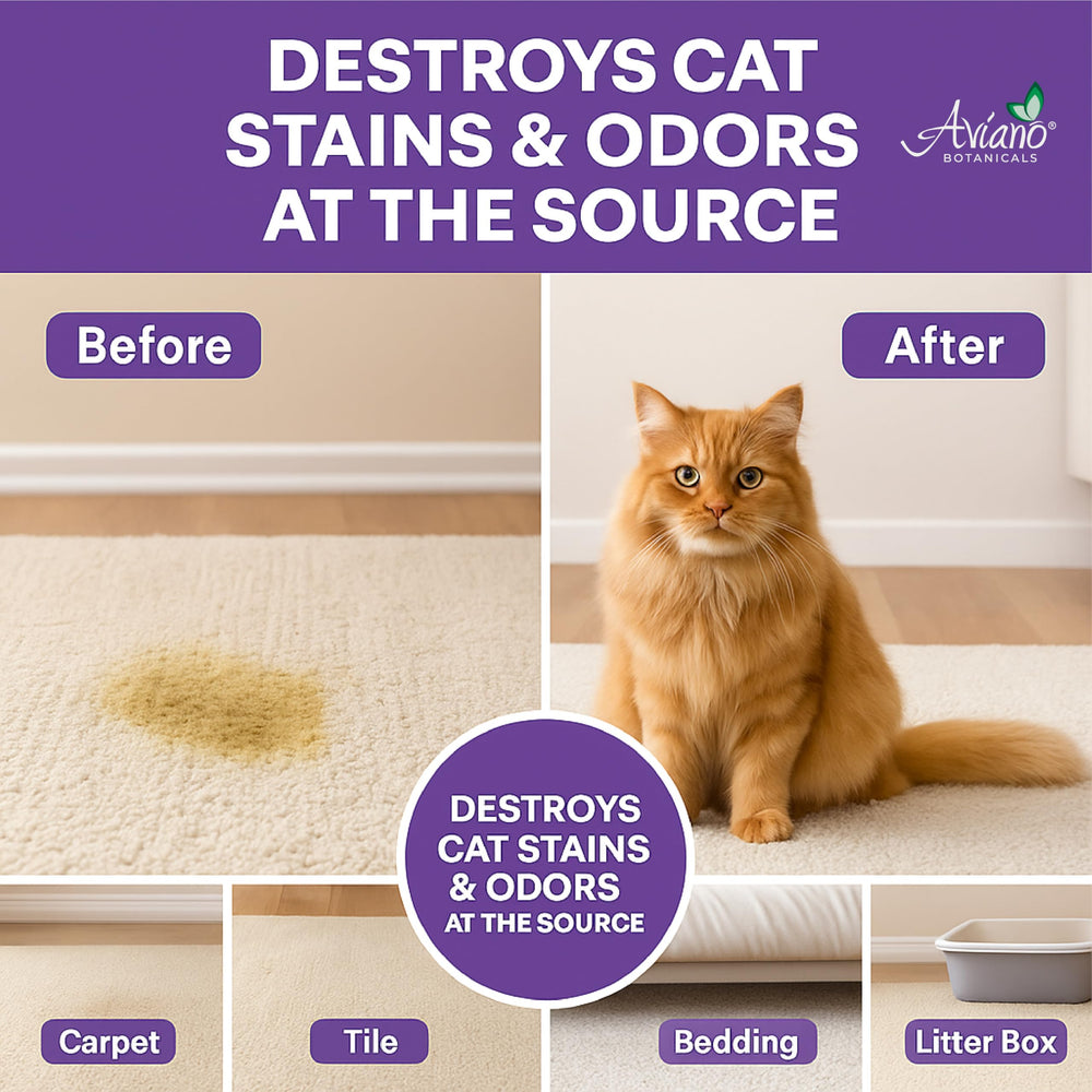 Aviano Cat Enzyme Cleaner surface application on stain-prone area