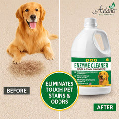 Aviano enzyme cleaner floor-mopping-application demonstrates floor cleaning by enzyme action