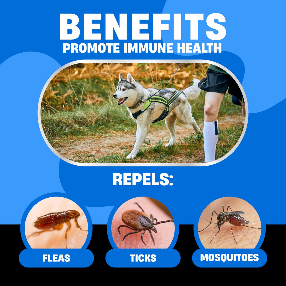 Avid Paws dog chews with chicken flavor supporting flea tick prevention