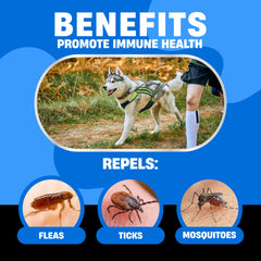 Avid Paws dog chews with chicken flavor supporting flea tick prevention