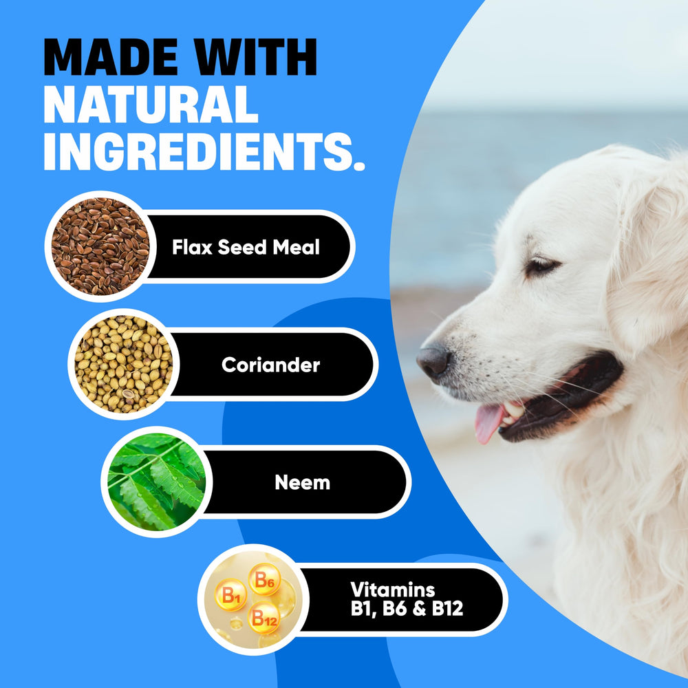 Avid Paws long-lasting oral defense chews for dogs of all breeds