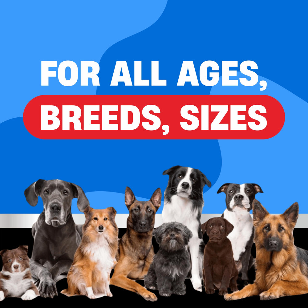 Avid Paws chicken-flavor chews ideal for hassle-free daily protection