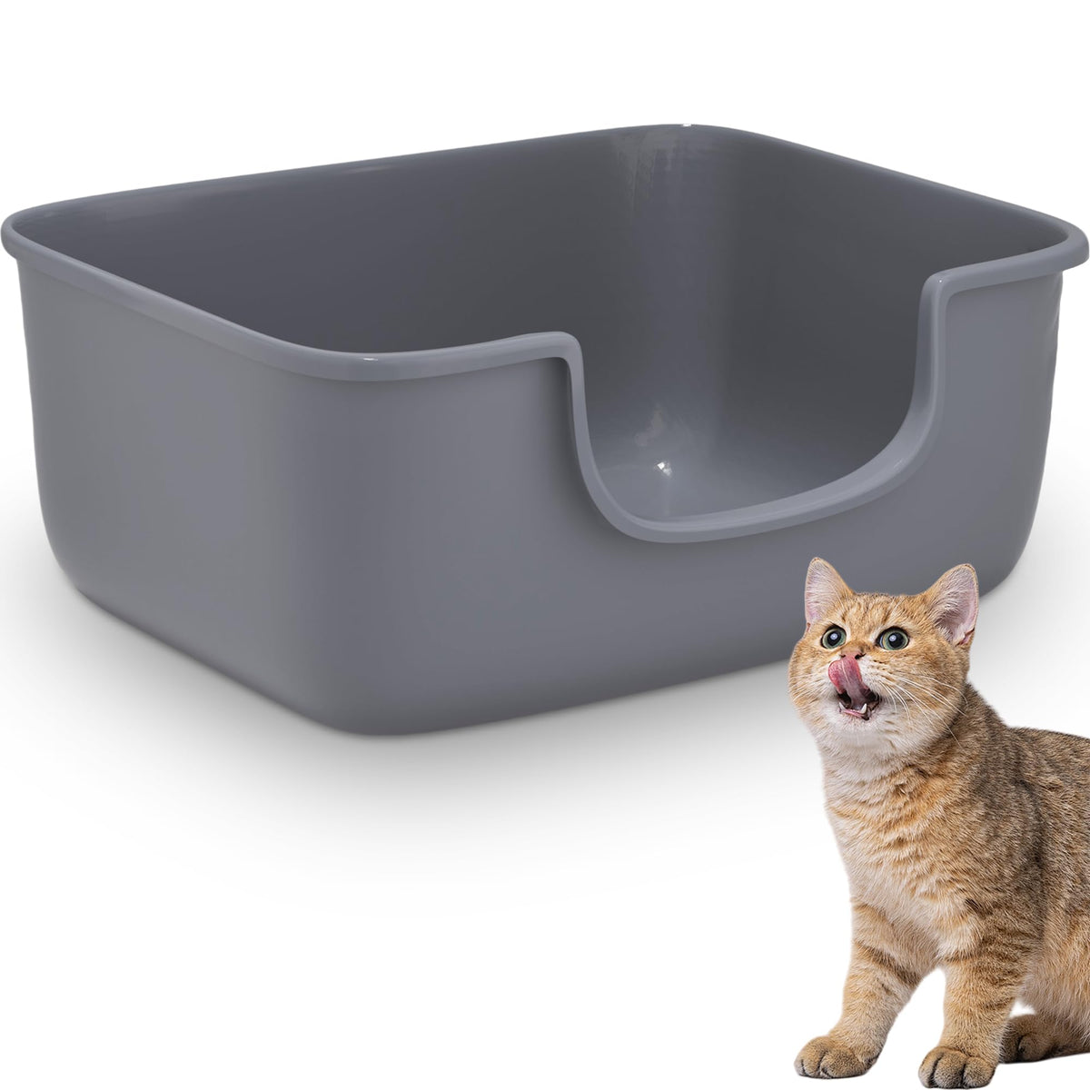AVIUIA large cat litter box open top showcases airy design and odor control for busy households