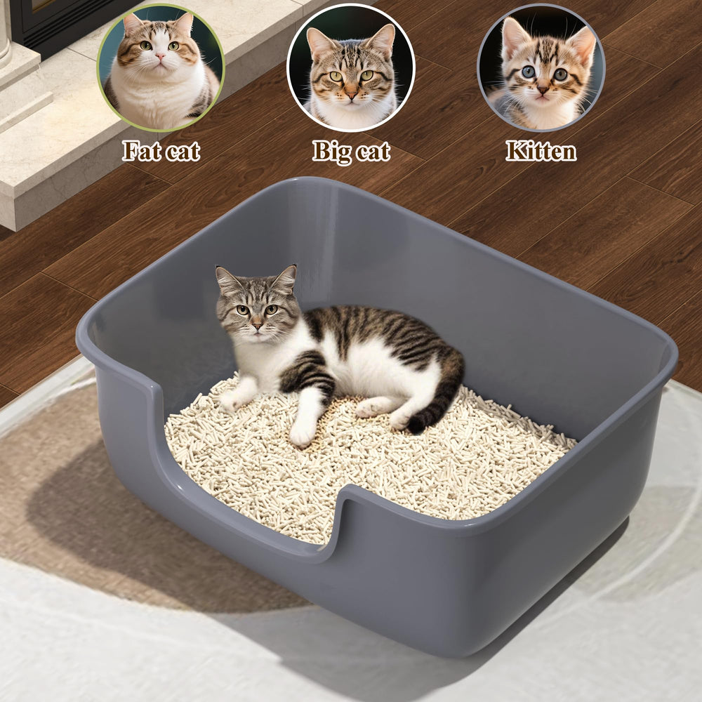 AVIUIA pp resin litter box is BPA free and durable for daily use