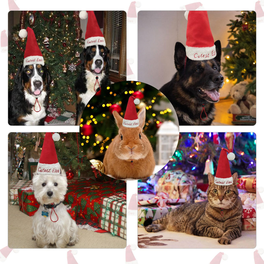 Avoirdus Cutest Ever dog Santa hat side view shows secure fit during play