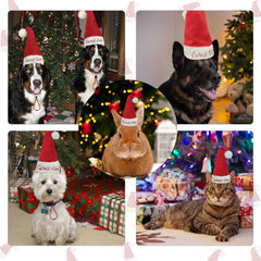 Avoirdus Cutest Ever dog Santa hat side view shows secure fit during play
