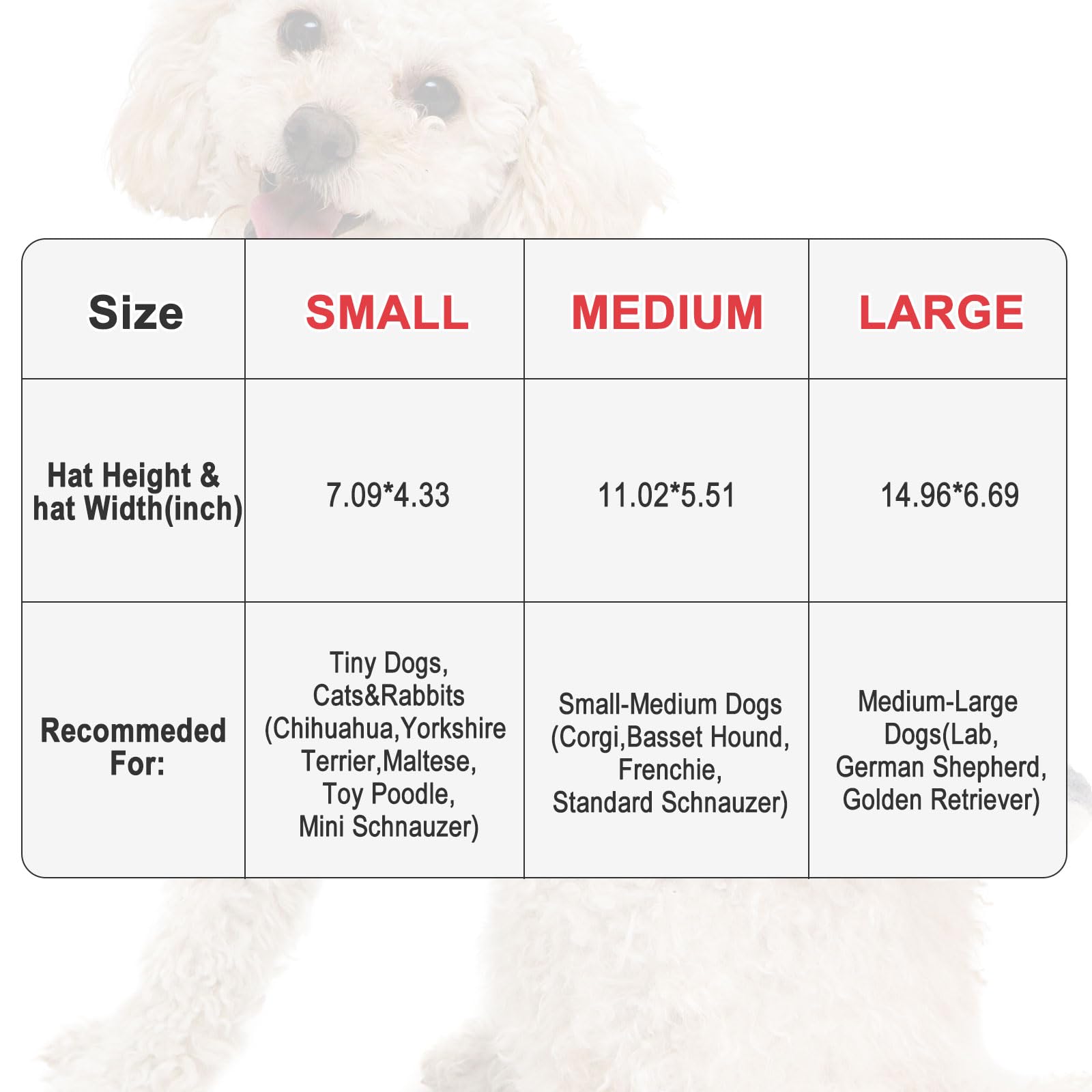 Avoirdus Cutest Ever hat size range fits small to large pets