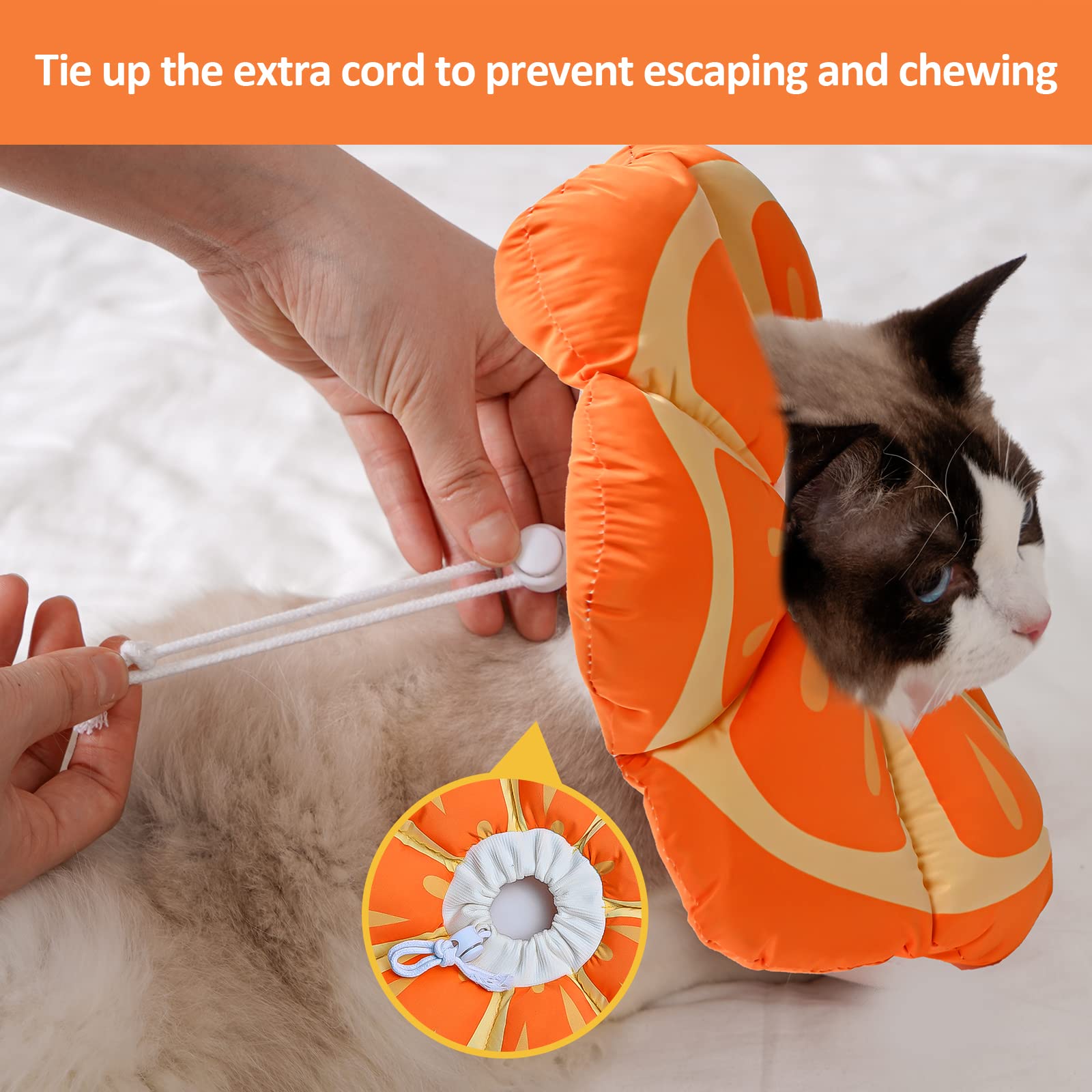 Avont cat cone soft Tangerine in use during play protects wounds without hindering movement