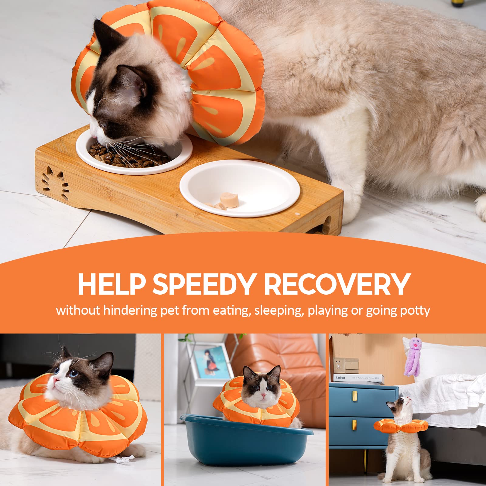 Avont cat cone soft Tangerine wearability demonstrates lightweight comfort for eating and resting