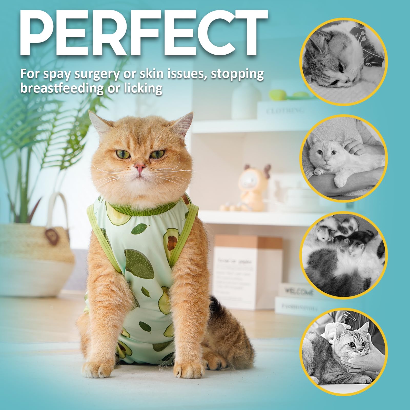 Avont Cat Recovery Suit avocado-m post-surgery use for protection