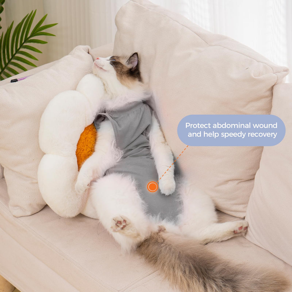 Avont Cat Recovery Suit back-closure demonstrates secure adjustable fit.