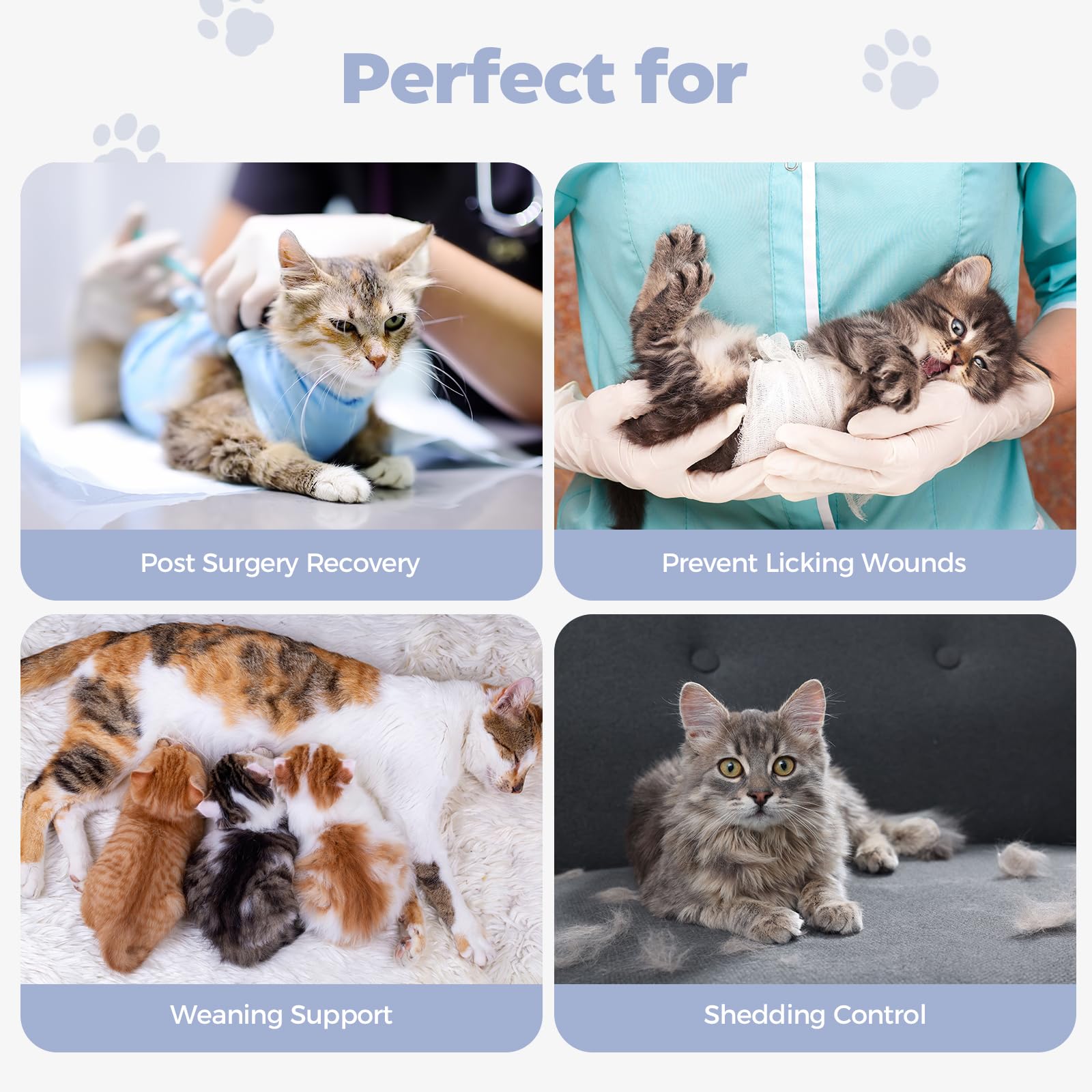 Avont Cat Recovery Suit care instructions image shows cold wash and air dry.