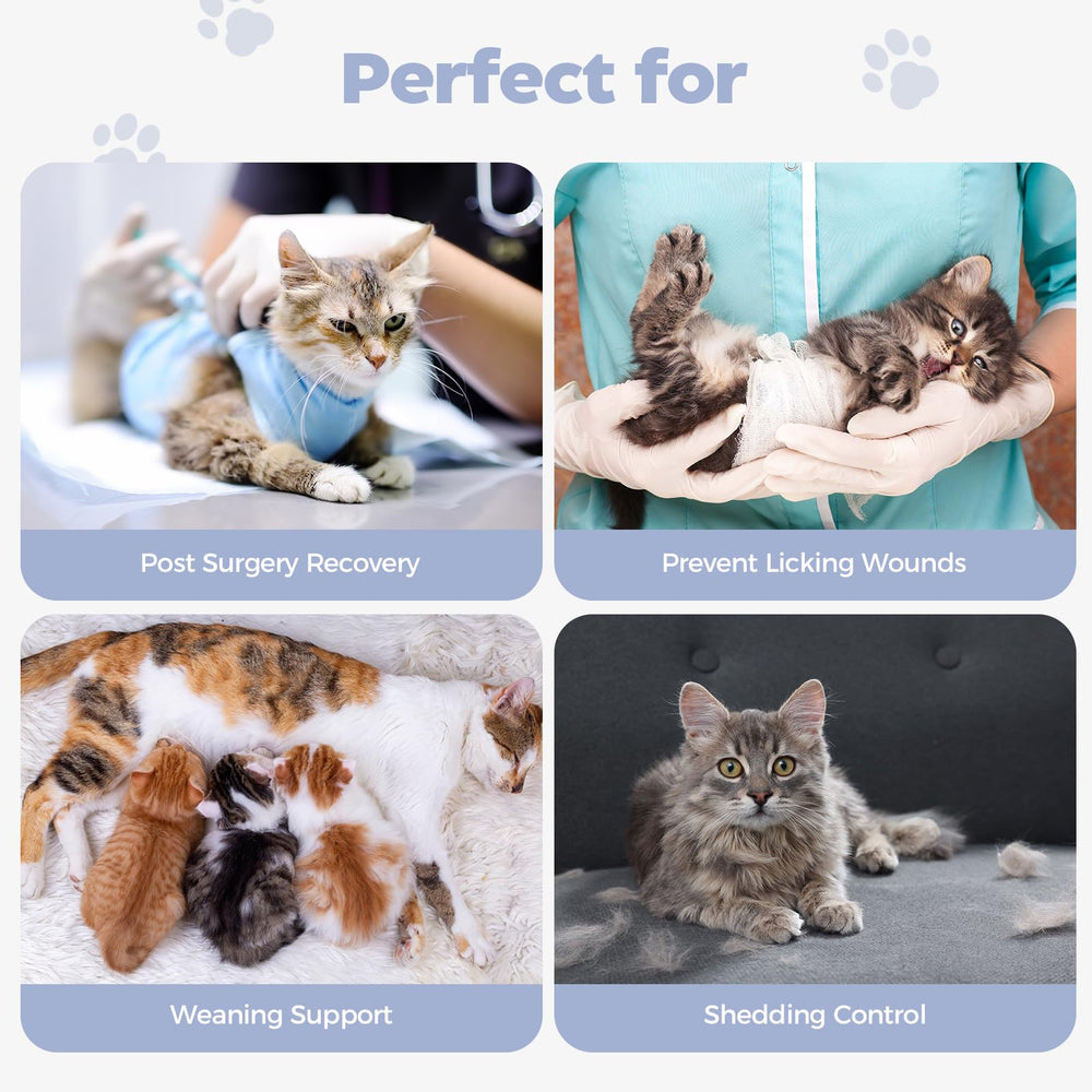 Avont Cat Recovery Suit care instructions image shows cold wash and air dry.