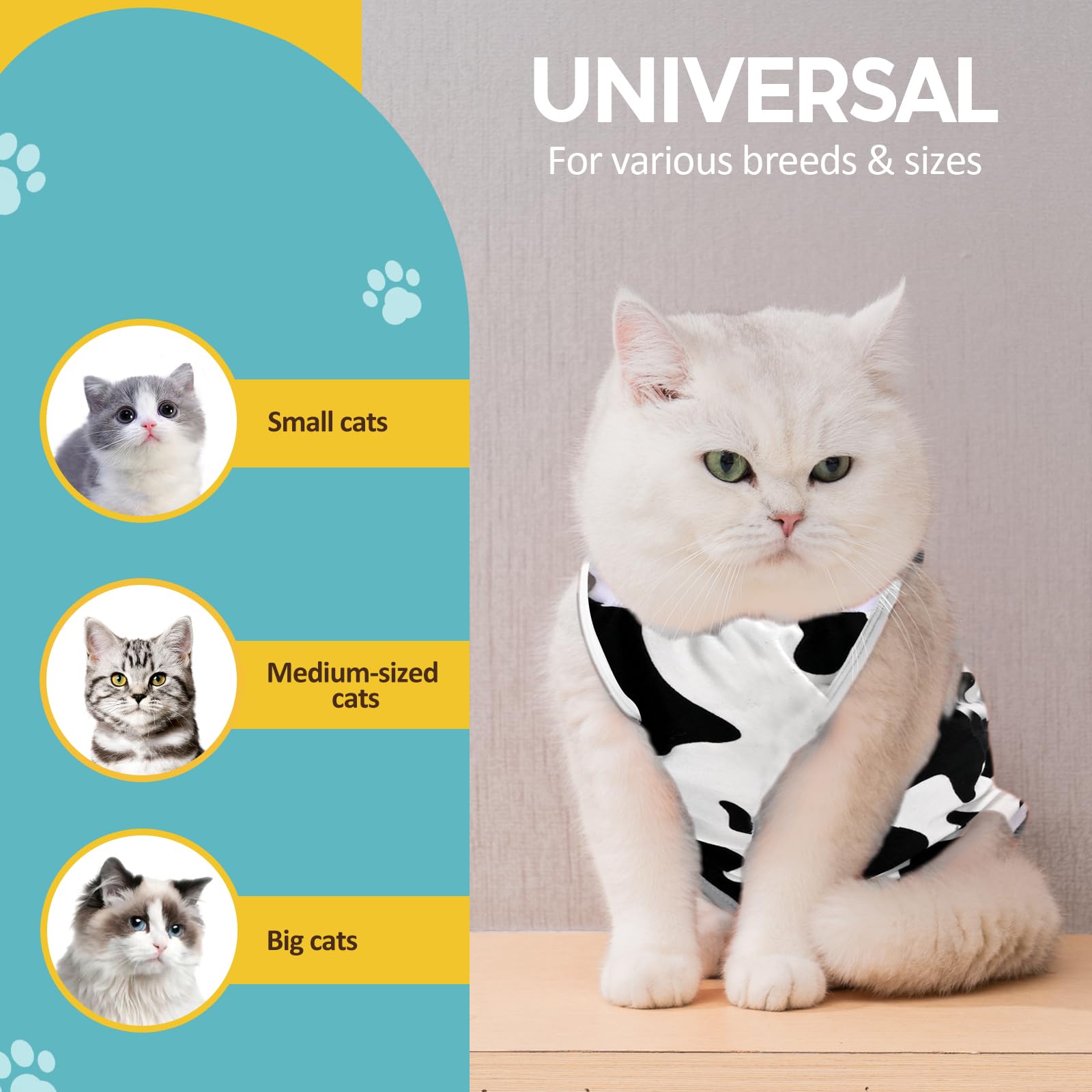 Avont Cat Recovery Suit worn on a cat, demonstrating wound protection and coverage