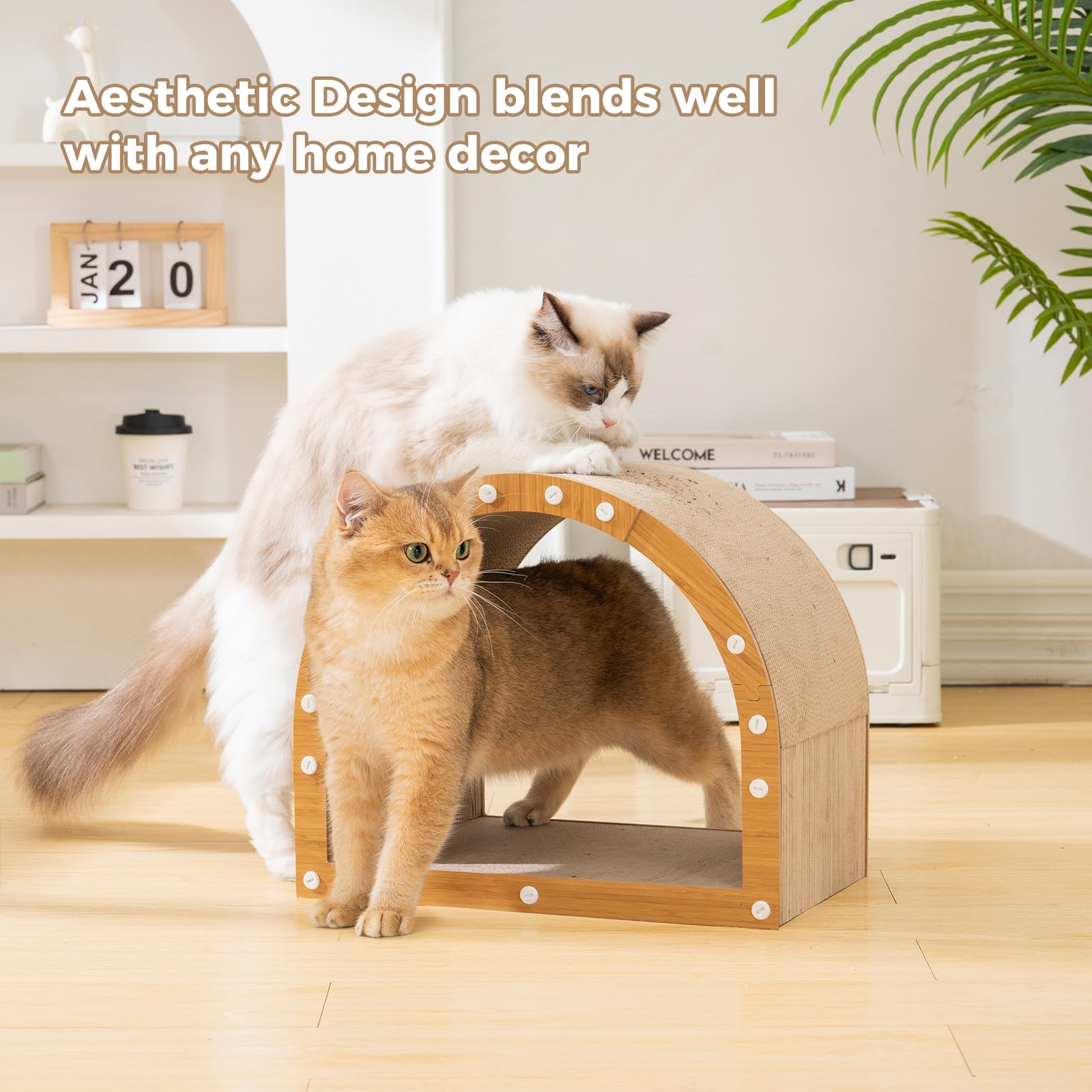 Avont Cat Scratcher House inside reveals cozy scratching and lounging space.