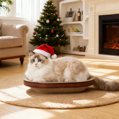 Avont Cat Scratcher Set bowl bed provides lounging comfort during relaxed breaks.