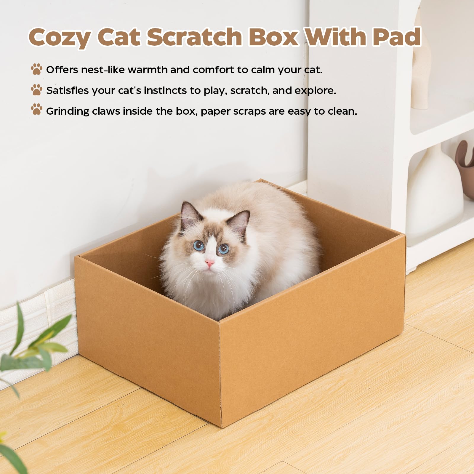 Avont Cat Scratcher Set play ball adds interactive fun to paw play.