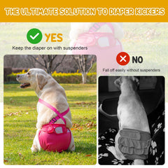 Avont diaper suspender and closure close-up highlights secure hook-and-loop fit for active dogs.