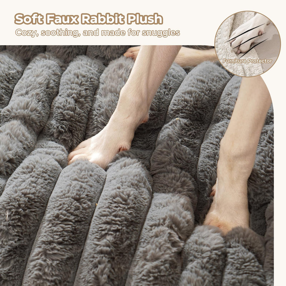 Avont dog bed mat with raised sides provides pillow-like support for cuddling.