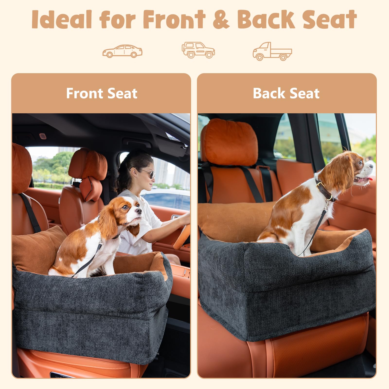 Avont dog car booster seat foam-base detail highlights cushioned support for pets.