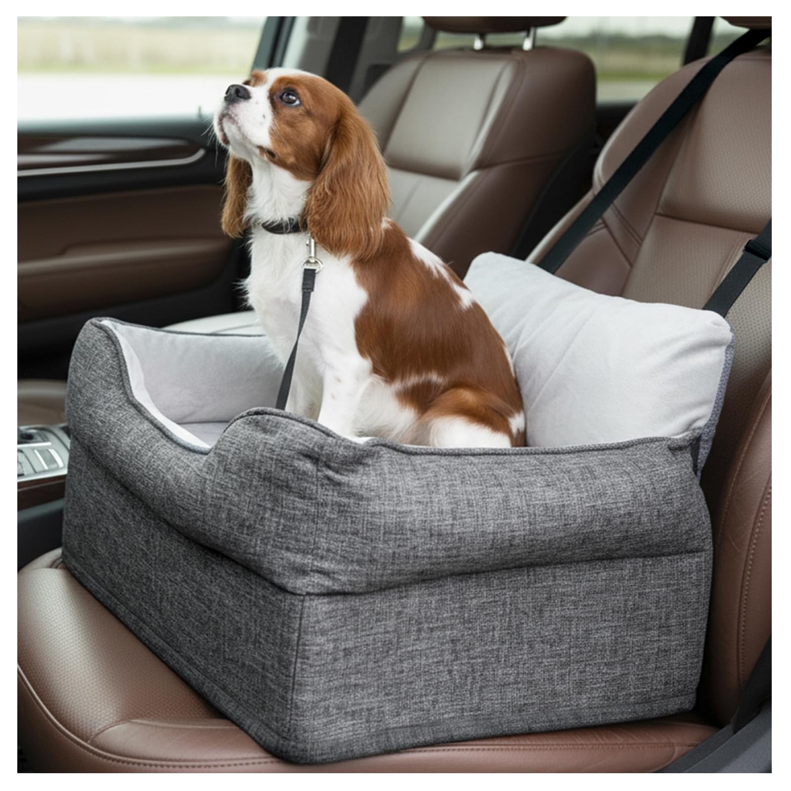 Avont dog car booster seat elevated view enables better road awareness during rides.
