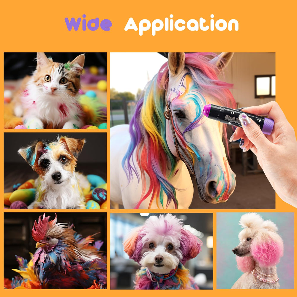 Avont pet events decoration with color accents on animals.