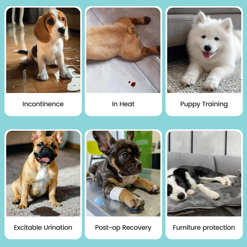 Avont reusable, machine-washable diapers, dryer-safe for easy care.