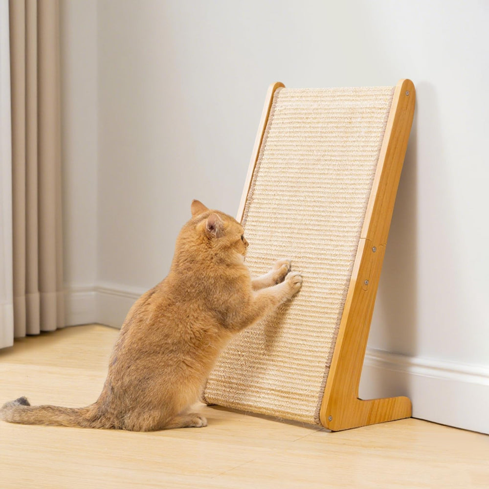 Avont 3-in-1 design supports vertical stretch, horizontal scratching, and lounging.